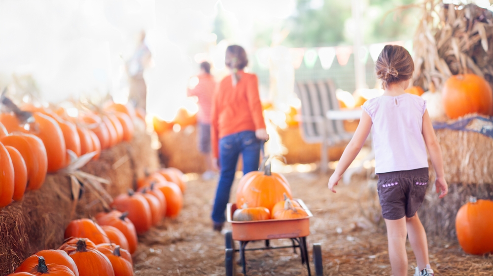 Caregiver and child enjoying a fall festival with pediatric respiratory equipment packed nearby.